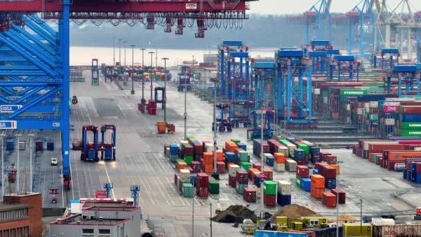 Hamburger Hafen Tollerort Containerschifffahrt Hamburg Deutschland Dezember 2022 — Stockvideo