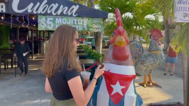 Los Famosos Gallos Little Havana Calle Ocho Miami Florida Febrero — Vídeos de Stock