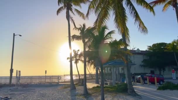 ヒッグスビーチはキーウェストでリラックスする人気のビーチと場所です キーウエスト フロリダ州 2022年2月20日 — ストック動画