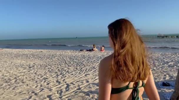 Higgs Beach Una Spiaggia Popolare Luogo Relax Key West Chiave — Video Stock