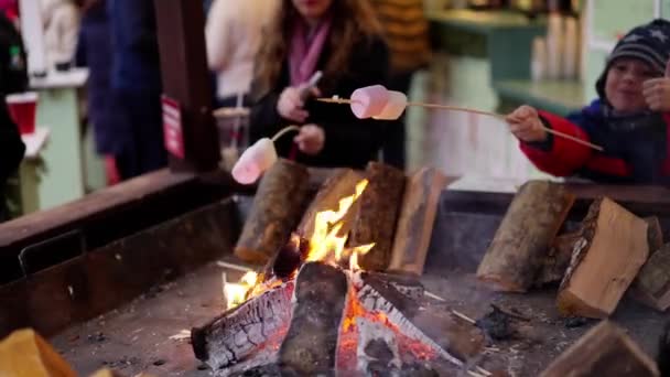 Grillning Marshmallows Över Öppen Ved Eld Resor Fotografi — Stockvideo
