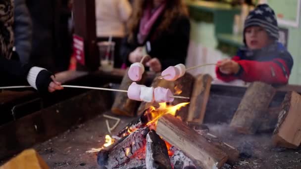 Grilling Marshmallows Sobre Uma Lareira Aberta Fotografia Viagem — Vídeo de Stock