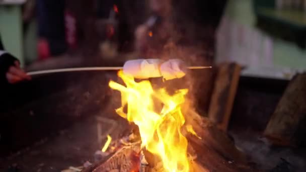Grilling Marshmallows Open Wood Fire Travel Photography — Stock Video