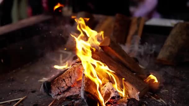 Otwarty Ogień Drewna Filmik Zdjęcia Wakacji — Wideo stockowe
