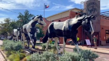 Fort Worth Stockyard 'daki Renk Anıtı - Fort Worth, ABD - 09 Kasım 2022