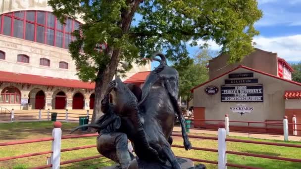 Rodeo Cowboy Statue Fort Worth Stockyards Fort Worth Usa November — Stockvideo