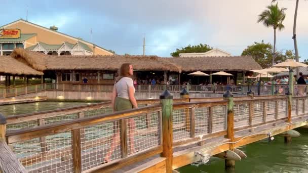 World Wide Sportsman Pier Islamorada Popular Place Relax Enjoy Sunset — Wideo stockowe