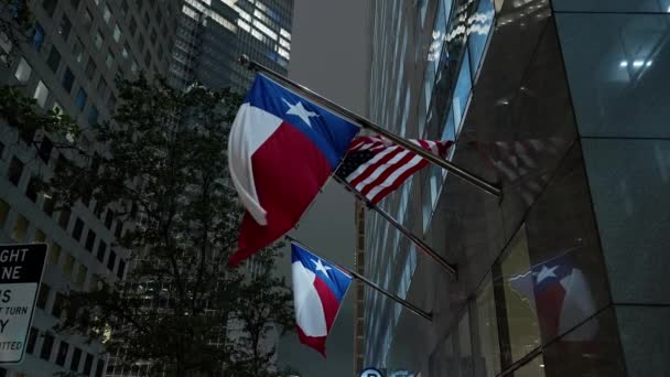 Σημαίες Του Τέξας Κυματίζει Στον Άνεμο Ταξιδιωτική Φωτογραφία — Αρχείο Βίντεο