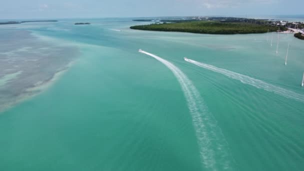 Καθαρό Νερό Στο Florida Keys Είναι Ένας Παράδεισος Για Δύτες — Αρχείο Βίντεο