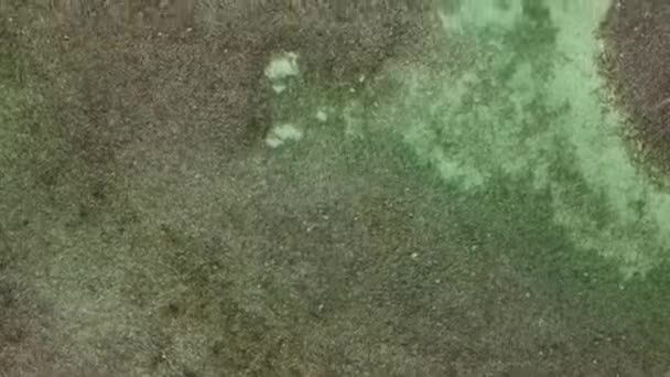 Eau Turquoise Claire Florida Keys Haut Vue Aérienne — Video