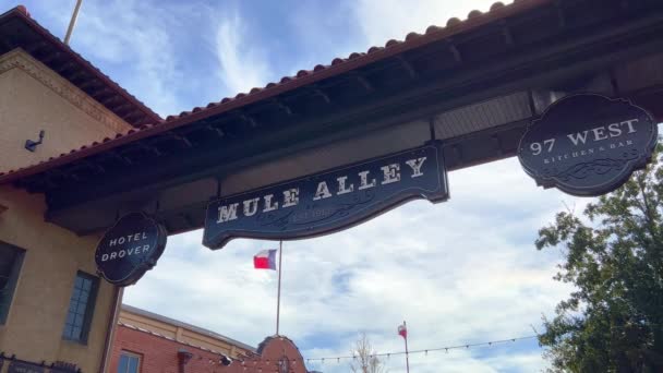 Mule Alley Fort Worth Stockyards Fort Worth Usa November 2022 — Stockvideo