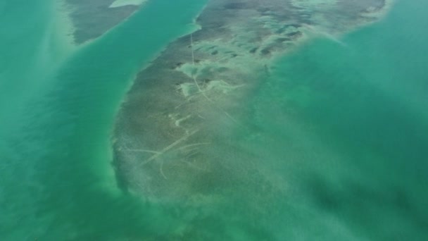 Clear Water Florida Keys Paradise Divers Aerial View — Video