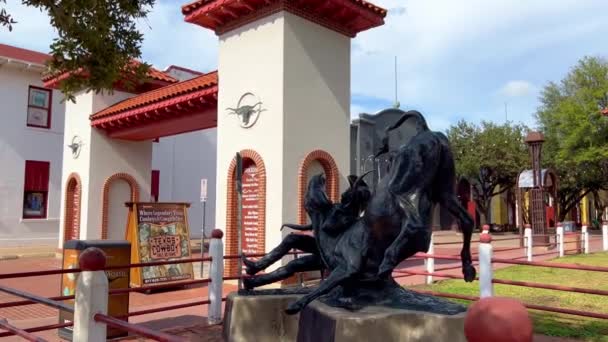 Статуя Родео Ковбой Форті Ворт Стокярдс Fort Worth Сша November — стокове відео