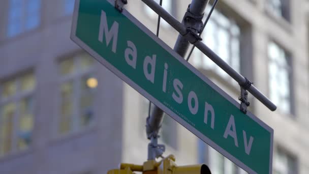 Madison Avenue Nueva York Fotografía Viaje — Vídeos de Stock