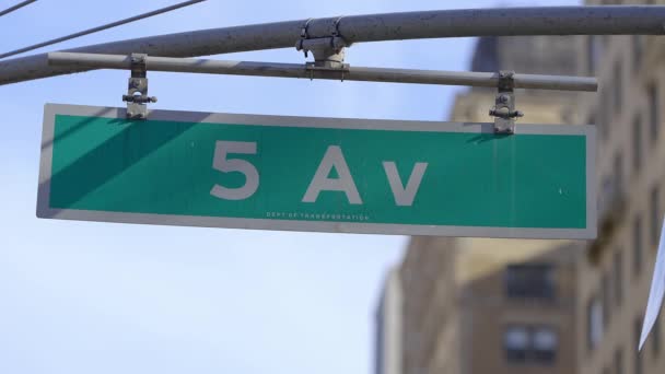 5Th Avenue Street Sign New York Travel Photography — Vídeos de Stock