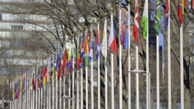 Flags of different nations at United Nations Plaza in New York - NEW YORK CITY, UNITED STATES - FEBRUARY 14, 2023