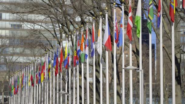 Banderas Diferentes Naciones Plaza Las Naciones Unidas Nueva York Nueva — Vídeos de Stock