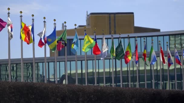 Σημαίες Μπροστά Από Κτίριο Των Ηνωμένων Εθνών Στη Νέα Υόρκη — Αρχείο Βίντεο