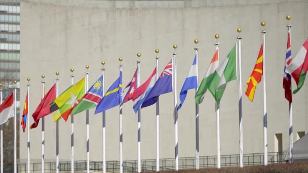 Σημαίες Διαφορετικών Εθνών Στην Πλατεία Των Ηνωμένων Εθνών Στη Νέα — Αρχείο Βίντεο