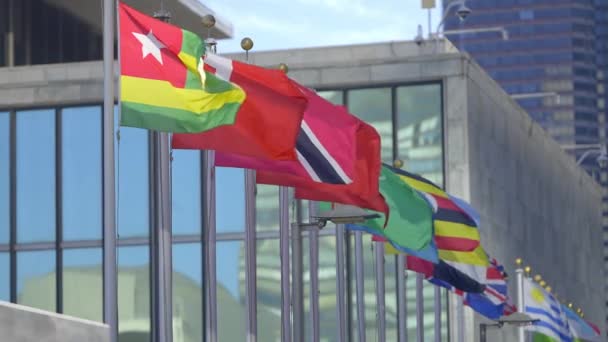 Drapeaux Différentes Nations Sur Place Des Nations Unies New York — Video