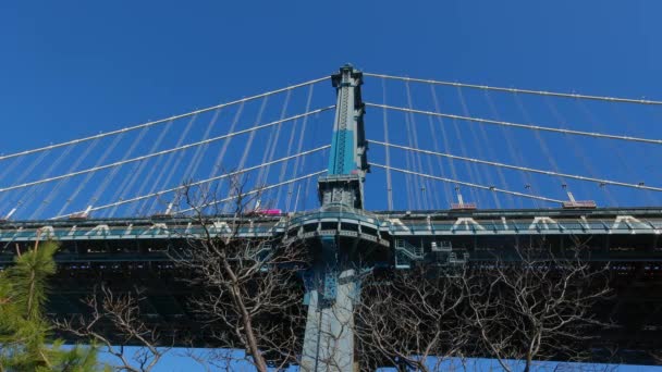 Manhattan Bridge New York Reisefotos — Stockvideo