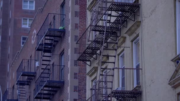 Fire Escape Houses New York Travel Photography — Stock Video