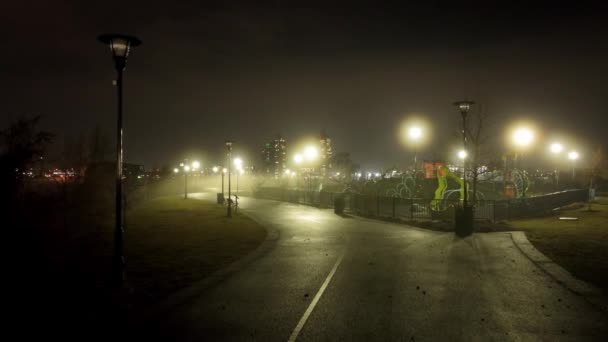 Går Gjennom Park Tåkete Natt Dronefotografering – stockvideo