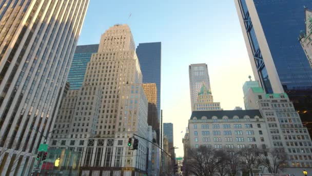 Słynny Widok 5Th Avenue Street Manhattanie Nowość York Stany Zjednoczone — Wideo stockowe