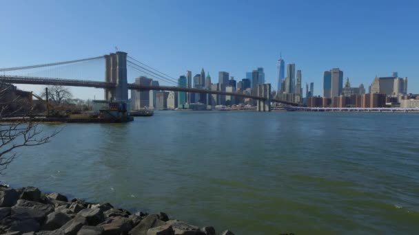 マンハッタン スカイライン フロント ブルックリン ブリッジ パーク ニューヨーク アメリカ 2023年2月14日 — ストック動画