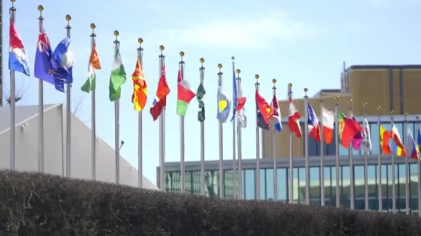 Σημαίες Διαφορετικών Εθνών Στην Πλατεία Των Ηνωμένων Εθνών Στη Νέα — Αρχείο Βίντεο