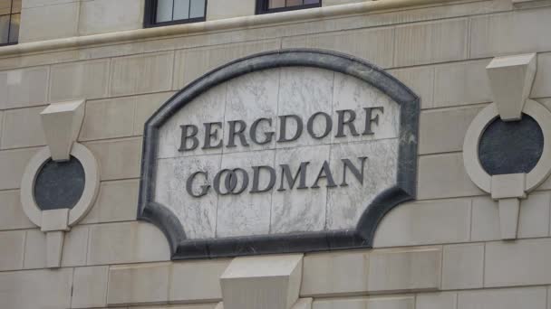 Bergdorf Goodman 5Th Avenue New York New York City Förenade — Stockvideo