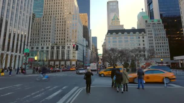 Kända 5Th Avenue Street View Manhattan New York Förenade Staterna — Stockvideo