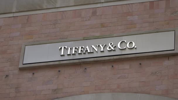 Tiffany Winkel 5Th Avenue New York New York City Verenigde — Stockvideo