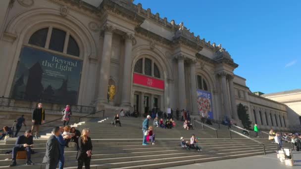 New York Metropolitan Müzesi New York Birleşik Devletler Şubat 2023 — Stok video