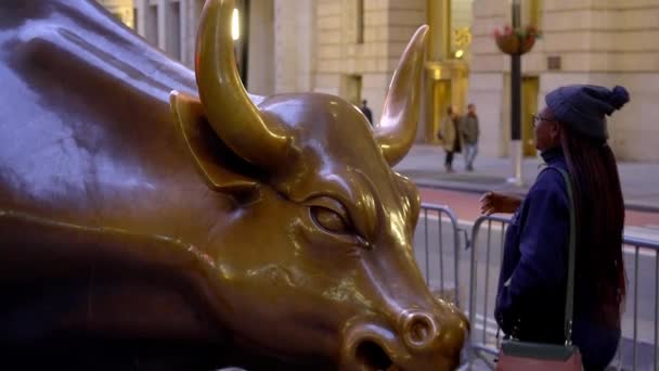 Estatua Del Toro Carga Distrito Financiero Manhattan Nueva York City — Vídeo de stock