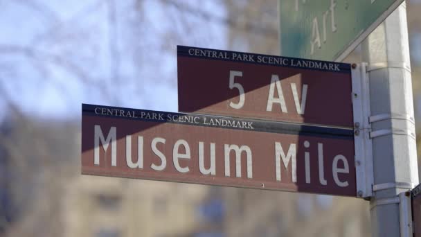 5Th Avenue Museum Mile New York Fotografi Perjalanan — Stok Video