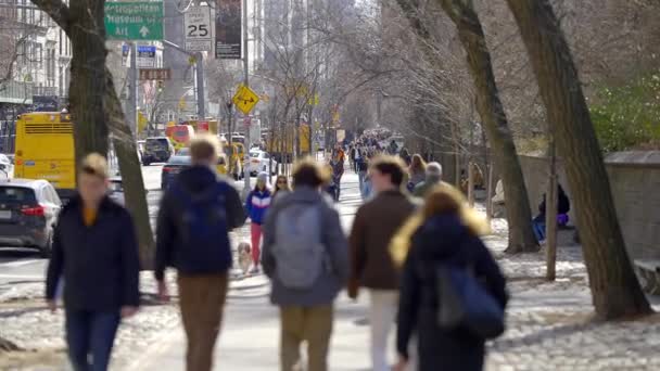 New York Taki Cadde Central Park Yürüyüş New York Şehri — Stok video