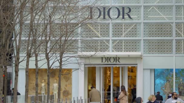 Tienda Dior 5Th Avenue Nueva York Nueva York City Estados — Vídeos de Stock