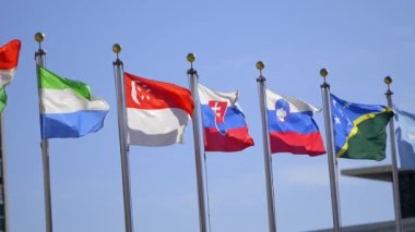 Flags of different nations at United Nations Plaza in New York - NEW YORK CITY, UNITED STATES - FEBRUARY 14, 2023