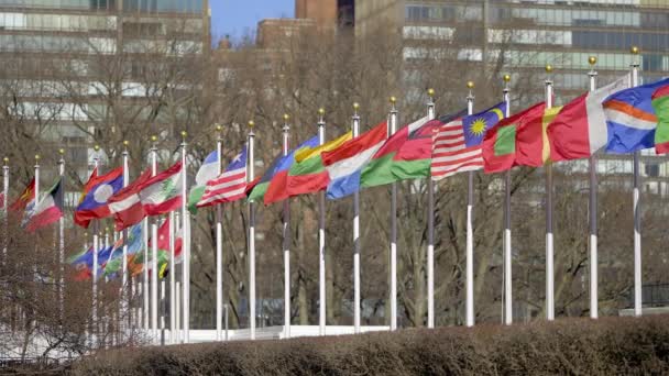 Прапори Різних Країн Майдані Організації Єднаних Націй Нью Йорку Нью — стокове відео