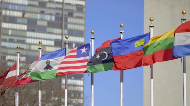 Flags Different Nations United Nations Plaza New York New York — Video