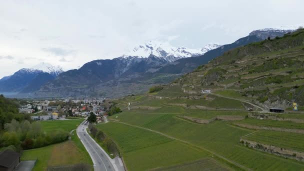 Виноградники Вале Швейцария Вид Воздуха Дрон — стоковое видео