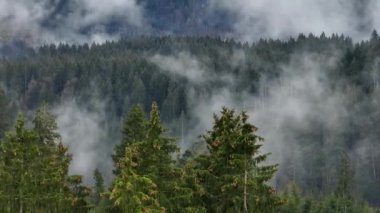 Sabah sisi ve alçak bulutlar dağlarda hava manzarası - hava aracı fotoğrafçılığı