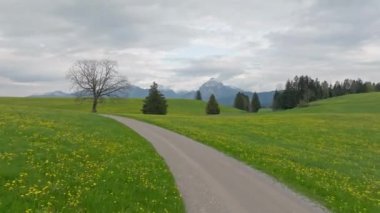 Allgau Almanya 'da geniş yeşil çayırlar - hava manzarası - hava aracı fotoğrafçılığı
