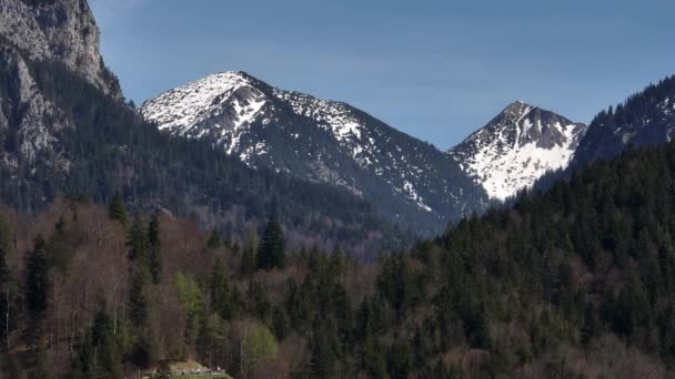 阿尔卑斯山空中拍摄的令人惊奇的山脉 无人驾驶航空器摄影 — 图库视频影像