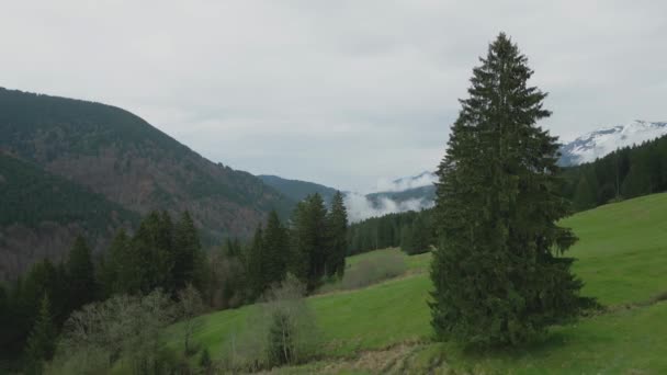 มมองทางอากาศเหน สวยงามใน Allgau เยอรมน อกเขาแอลป เยอรม การถ ายภาพโดรนทางอากาศ — วีดีโอสต็อก