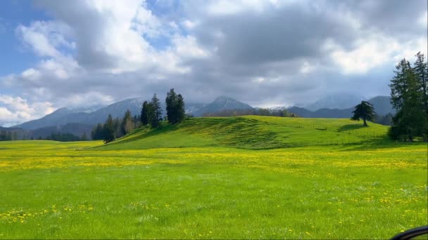 Typické Zelené Louky Krajiny Allgau Německo Cestovní Fotografie — Stock video