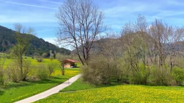 Τυπικό Τοπίο Πράσινα Λιβάδια Της Στο Allgau Γερμανία Ταξιδιωτική Φωτογραφία — Αρχείο Βίντεο