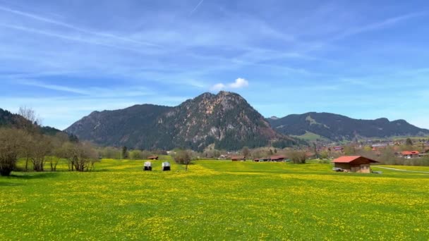 Typická Krajina Zelenými Loukami Allgau Německo Cestovní Fotografie — Stock video