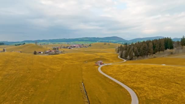 Vol Dessus Des Prairies Allgau Allemagne Étonnante Photographie Drone — Video